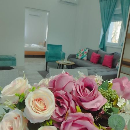 Apartman Radovic Smederevo Ngoại thất bức ảnh