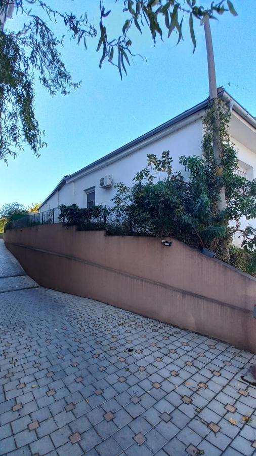 Apartman Radovic Smederevo Ngoại thất bức ảnh