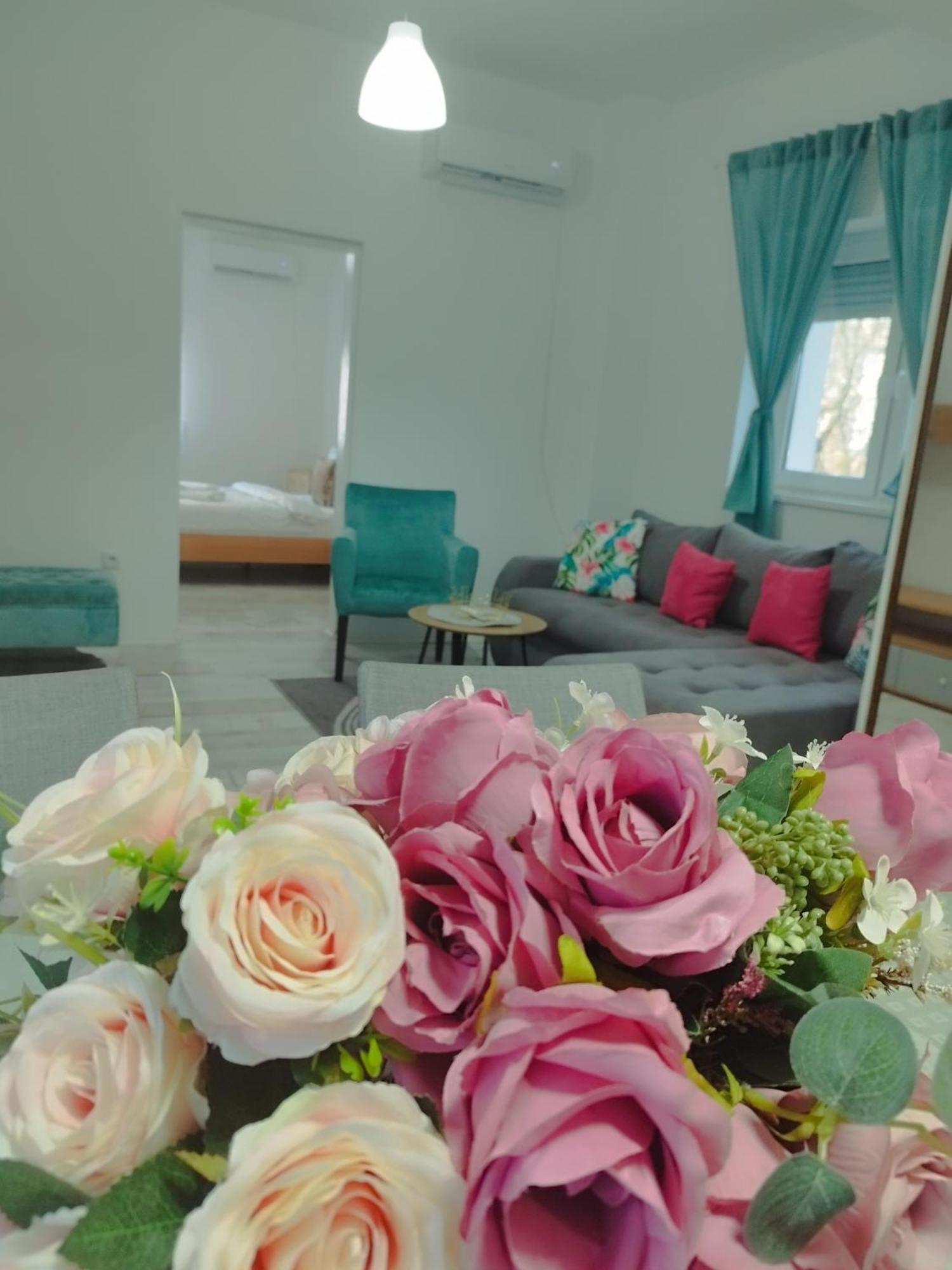 Apartman Radovic Smederevo Ngoại thất bức ảnh